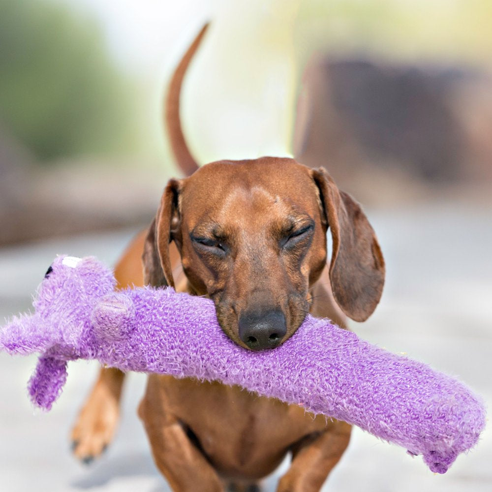 Multipet Plush Loofa Dog Toy, 18", Colors May Vary Animals & Pet Supplies > Pet Supplies > Dog Supplies > Dog Toys Multipet   