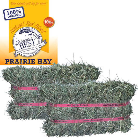 Grandpa'S Best Certified Organic Prairie Grass Hay Mini Bale for Small Animals - 10Lb Animals & Pet Supplies > Pet Supplies > Small Animal Supplies > Small Animal Food Grandpa's Best LLC   