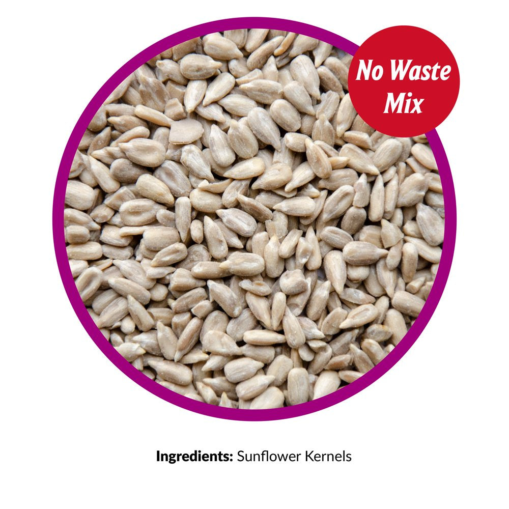 Lyric Sunflower Kernels Wild Bird Seed - No Waste Bird Food - 5 Lb. Bag Animals & Pet Supplies > Pet Supplies > Bird Supplies > Bird Food Lebanon Seaboard Corporation   