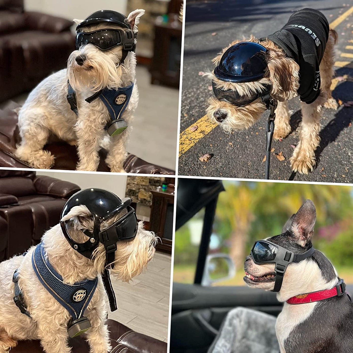 NAMSAN Dog Helmet with Ear Hole and Small Dog Goggles Bundle Sport Dog Hard Helmet and UV Doggy Sunglasses Animals & Pet Supplies > Pet Supplies > Dog Supplies > Dog Apparel NAMSAN   