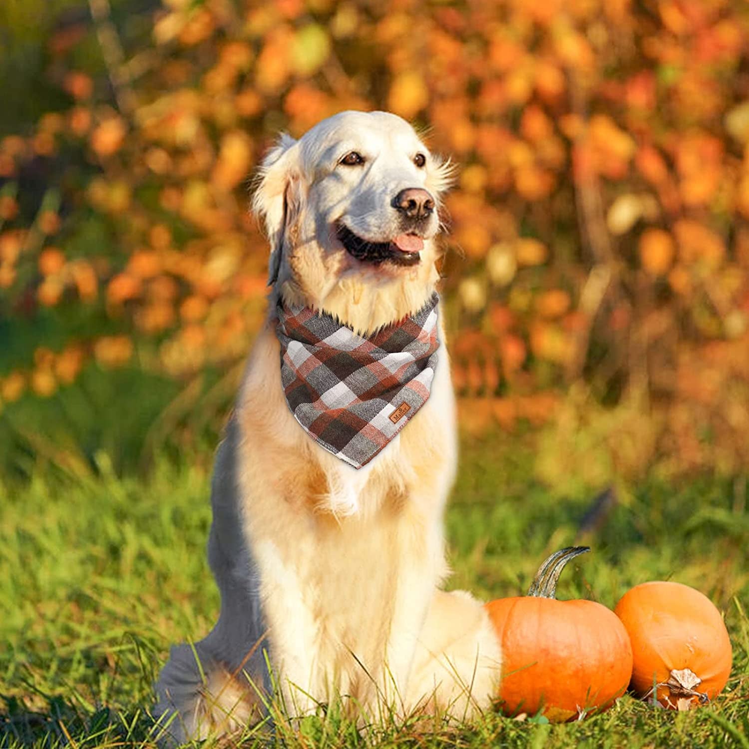 Malier 2 Pack Fall Dog Bandana Halloween Thanksgiving Plaid Dog Bandanas, Holiday Pet Reversible Scarf Bibs Accessories Costumes for Small Medium Large Dogs and Cats Animals & Pet Supplies > Pet Supplies > Dog Supplies > Dog Apparel Malier   