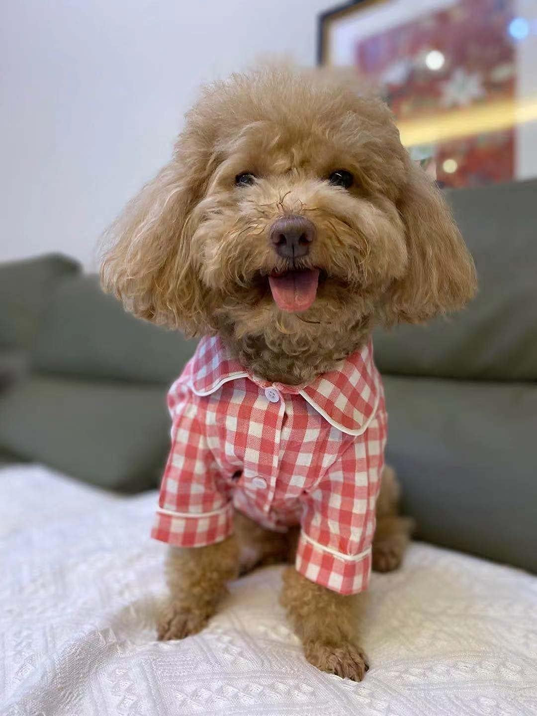 Knuffelen Dog Shirt Cotton Plaid Pajamas Puppy Clothes for Small Dogs Cats Stylish Pet Pjs Sleepwear Soft Breathable Pink S Animals & Pet Supplies > Pet Supplies > Dog Supplies > Dog Apparel Knuffelen   