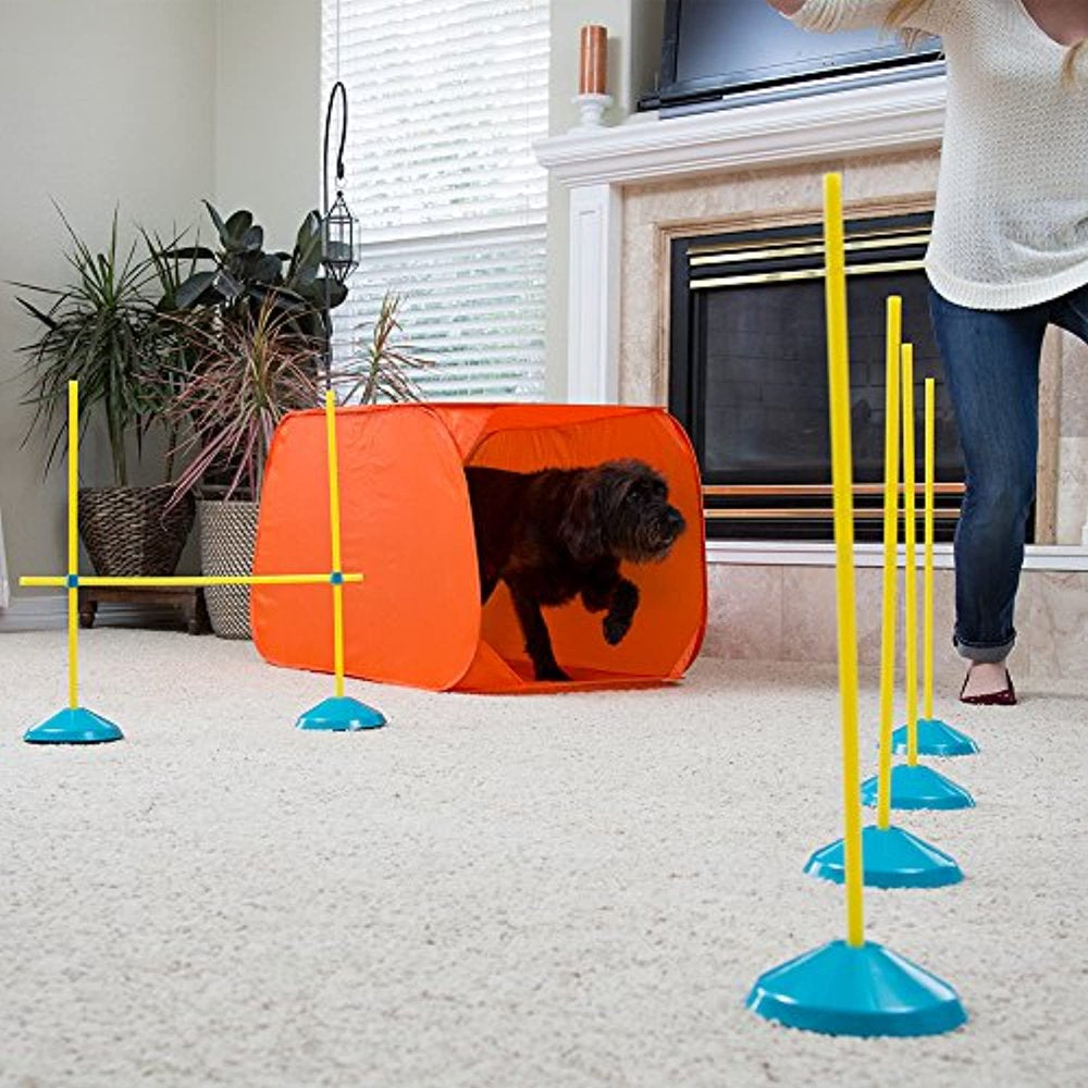 Outward Hound Dog Agility Starter Kit Indoor Animals & Pet Supplies > Pet Supplies > Dog Supplies > Dog Treadmills Outward Hound   