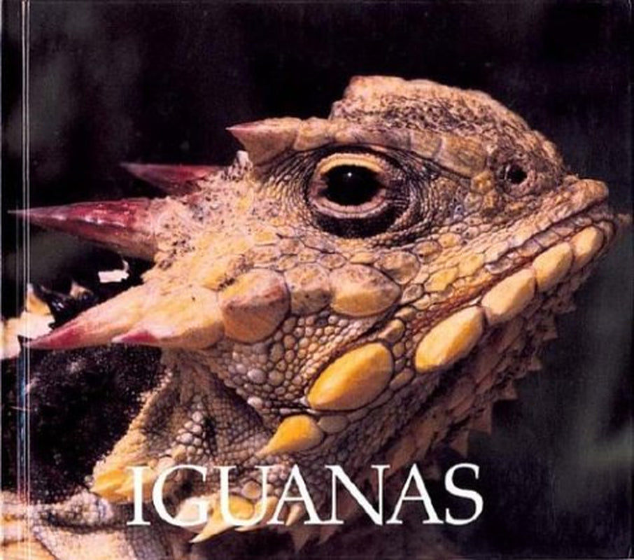 Iguanas Naturebooks Reptiles and Amphibians , Pre-Owned Library Binding 1567661904 9781567661903 Don Patton