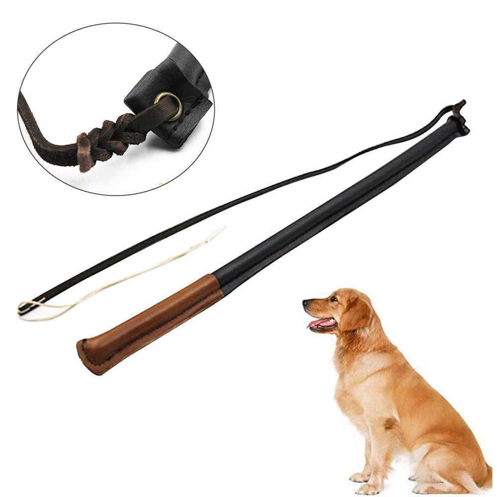 Dog Training Agitation for Medium Large Dog Trainings Equipment Stick Animals & Pet Supplies > Pet Supplies > Dog Supplies > Dog Treadmills SunniMix   