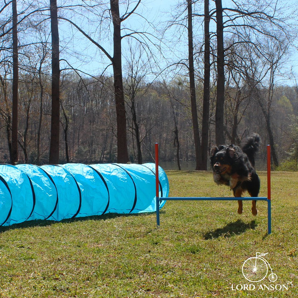 Lord Anson Dog Agility Set - Dog Agility Equipment - 1 Dog Tunnel, 6 Weave Poles, 1 Dog Agility Jump - Canine Agility Set for Dog Training, Obedience, Rehabilitation Animals & Pet Supplies > Pet Supplies > Dog Supplies > Dog Treadmills Lord Anson   