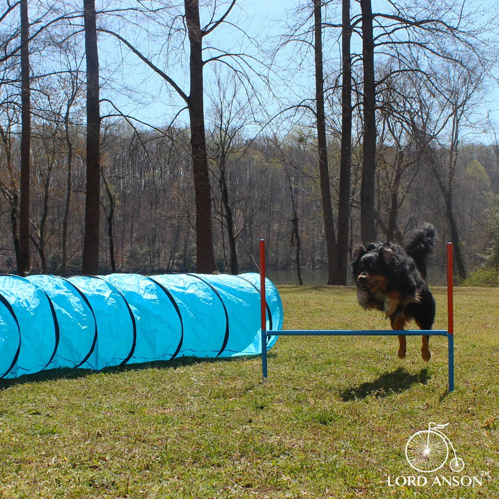 Lord Anson Dog Agility Set - Dog Agility Equipment - 1 Dog Tunnel, 6 Weave Poles, 1 Dog Agility Jump - Canine Agility Set for Dog Training, Obedience, Rehabilitation