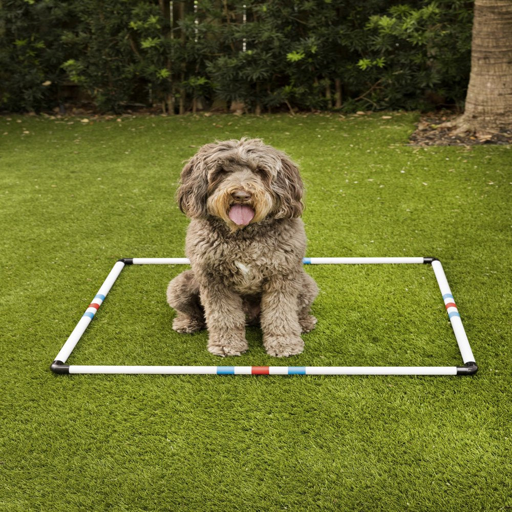 Midlee Dog Agility Pause Box Animals & Pet Supplies > Pet Supplies > Dog Supplies > Dog Treadmills Midlee   