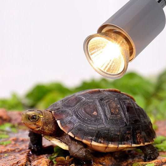Mgaxyff 75W Heating Light Bulb Aquarium Lamp for Pet Reptile Turtles, Heating Lamp, Aquarium Heating Light Animals & Pet Supplies > Pet Supplies > Fish Supplies > Aquarium Lighting Mgaxyff   