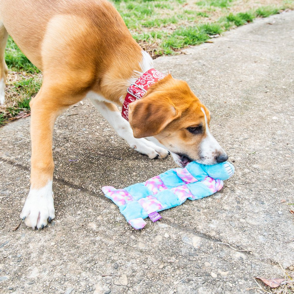 Multipet Smiling Loofa Dog Squeaker Mat Dog Toy, 12 Inches Long, Contains 13 Squeakers, Swirl Pattern Animals & Pet Supplies > Pet Supplies > Dog Supplies > Dog Toys Multipet International   