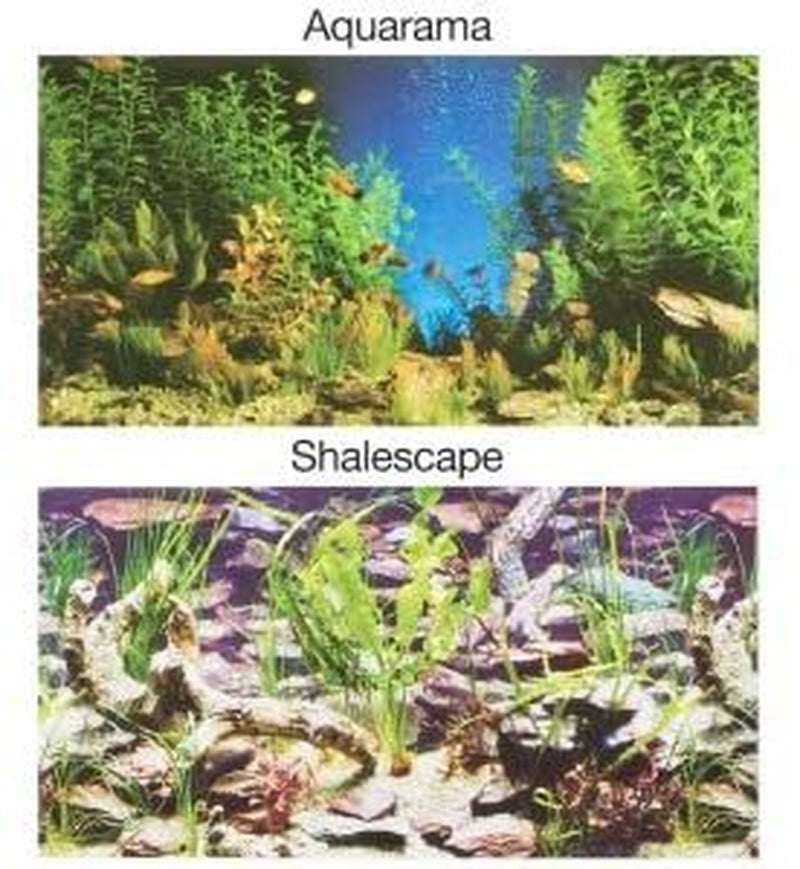 Penn-Plax Aquarama/Shalescape-50 Plant Aquarium Background Decor