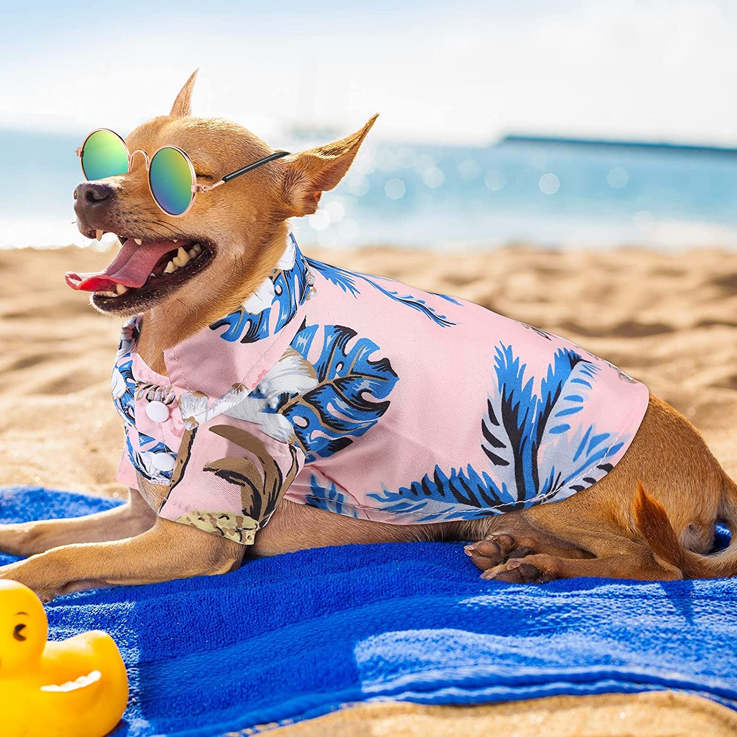 3 Pieces Hawaiian Dog Shirt with 3 Pieces Sunglasses Summer Breathable Sweatshirts Cool Coconut Tree Pineapple Pattern Pet T Shirts Puppy Clothes for Small Medium Large Dog Cat (Small) Animals & Pet Supplies > Pet Supplies > Dog Supplies > Dog Apparel Frienda   