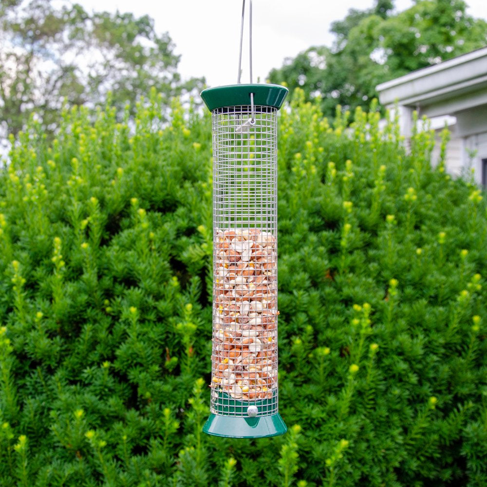 Lyric Woodpecker Wild Bird Seed - No Waste Bird Seed with Nuts, Fruit & Seeds - 5 Lb. Bag