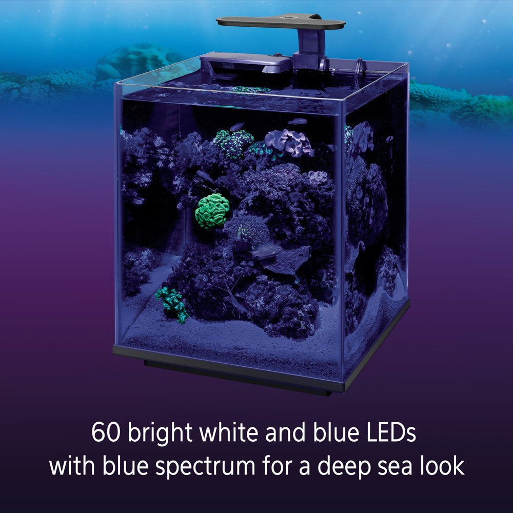 Coralife Clip-On Marine Aquarium LED Light Fixture Animals & Pet Supplies > Pet Supplies > Fish Supplies > Aquarium Lighting Central Garden and Pet   