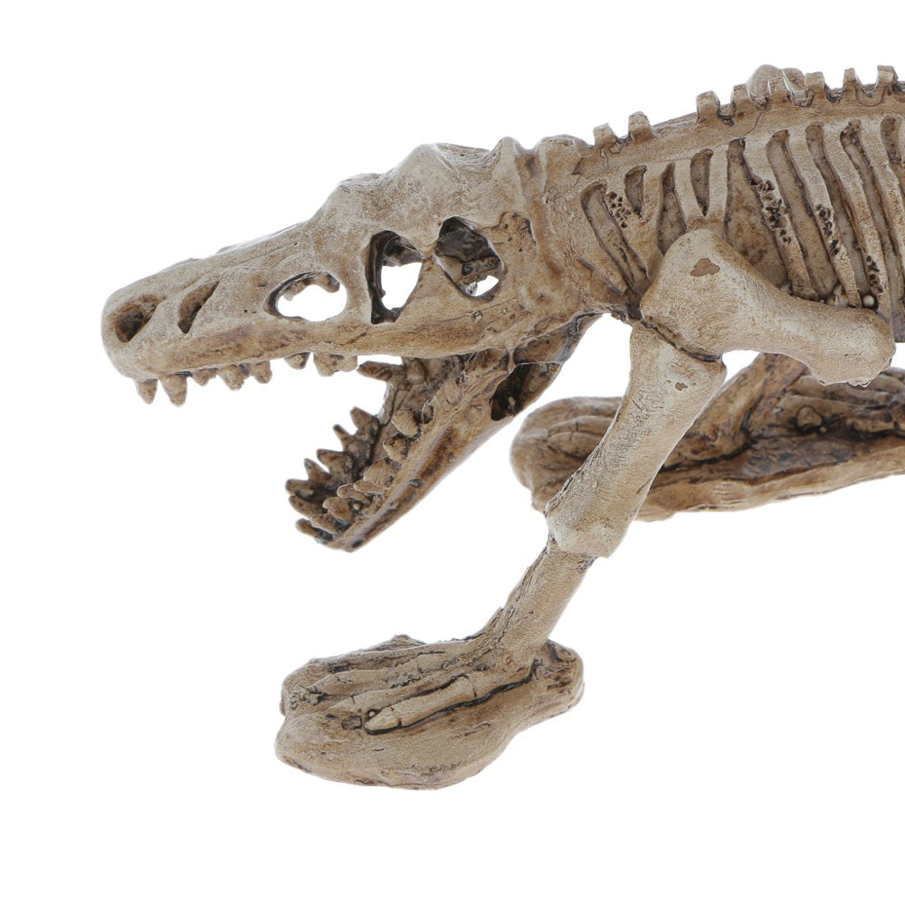 Resin Dinosaur Skeleton Ornaments for Reptile Amphibians Terrarium Vivarium Habitat Aquarium Landscape Decoration, Hideouts Hiding Places Animals & Pet Supplies > Pet Supplies > Small Animal Supplies > Small Animal Habitat Accessories perfk   