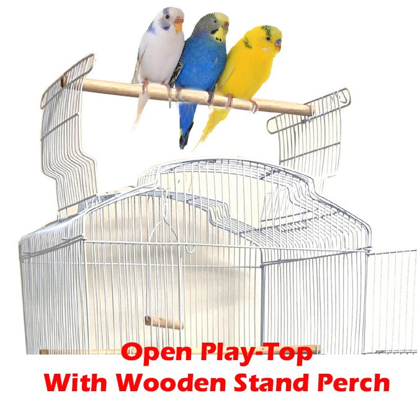 Large 36" Portable Hanging Travel Open Top Bird Flight Cage with Play Toys and 10-Step Cross Ladder for Parakeets Finches Canaries Lovebirds Small Quaker Parrots Cockatiels Budgie Green Cheek Conure Animals & Pet Supplies > Pet Supplies > Bird Supplies > Bird Toys Mcage   