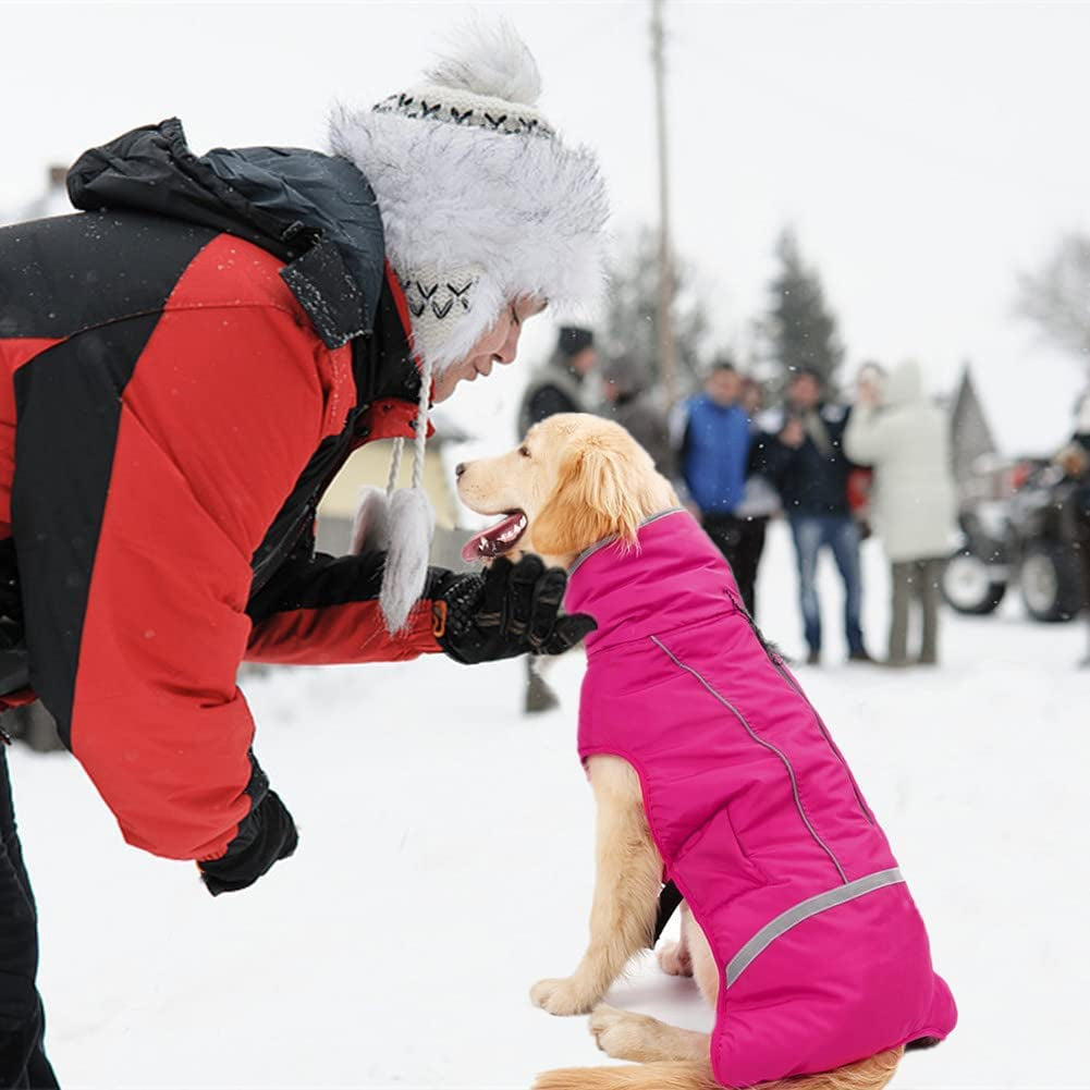 Doglay Dog Winter Coat with Thicken Furry Collar, Reflective Warm Pet Jacket Fleece Lining Waterproof Windproof Dog Clothes for Cold Weather, Soft Puppy Vest Apparel for Small Medium Large Dogs Animals & Pet Supplies > Pet Supplies > Dog Supplies > Dog Apparel Doglay   