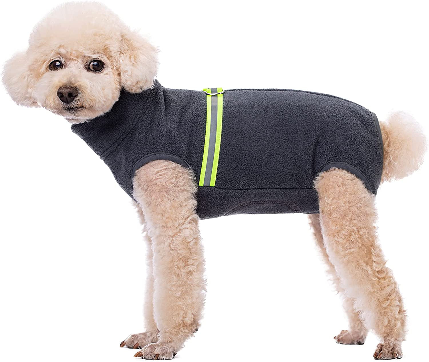 Miaododo Fleece Vest Dog Sweater with D-Ring Leash- Winter Small Dog Sweater Coat-Cold Weather Dog Clothes for Small Medium Dogs Boy/Girl(Grey,L)