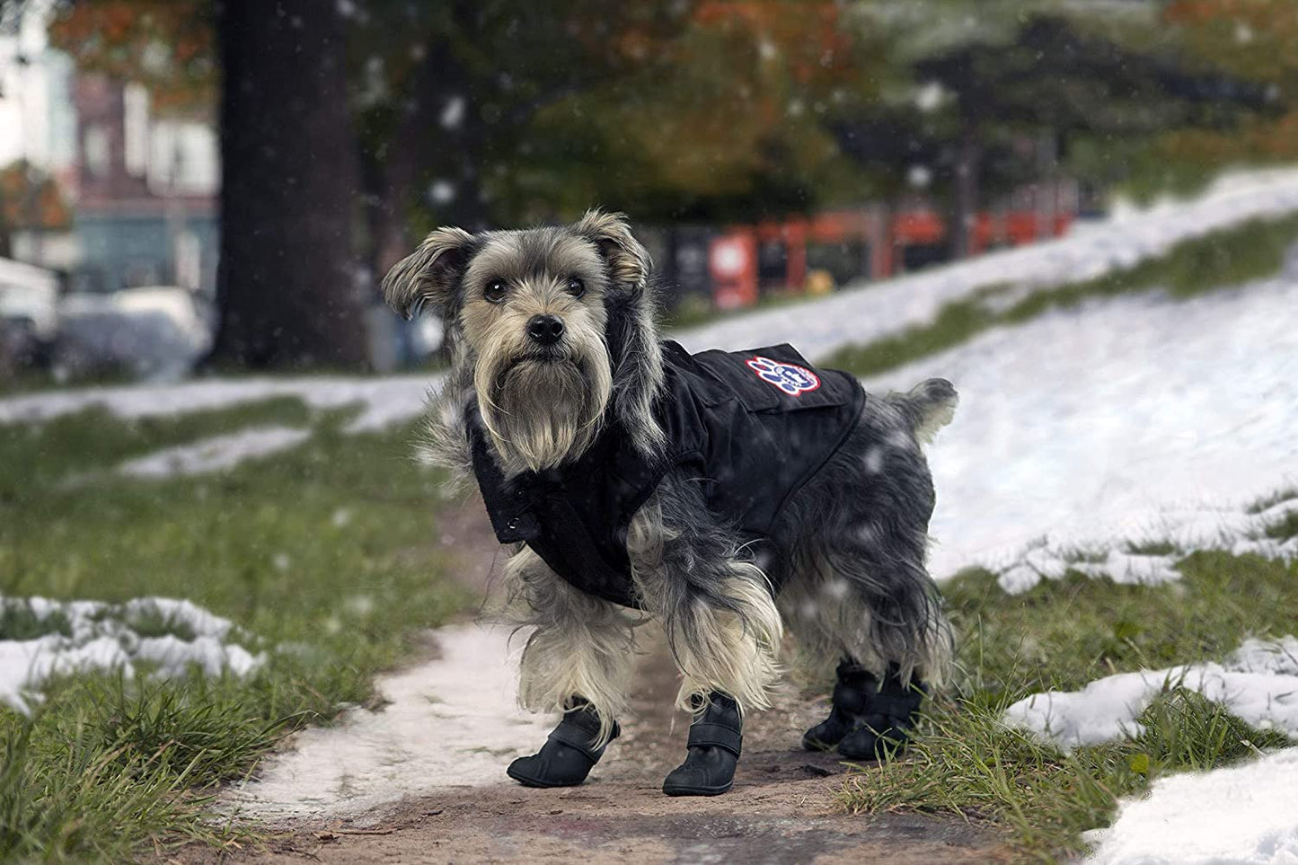 Canada Pooch Dog Winter Vest with Water-Resistent Insulation down Jacket for Warmth Comfortable Winter Dog Coat with Fleece Lining Easy on Velcro Closure for Small Medium Large Dogs - Black/Size 20 Animals & Pet Supplies > Pet Supplies > Dog Supplies > Dog Apparel Canada Pooch   