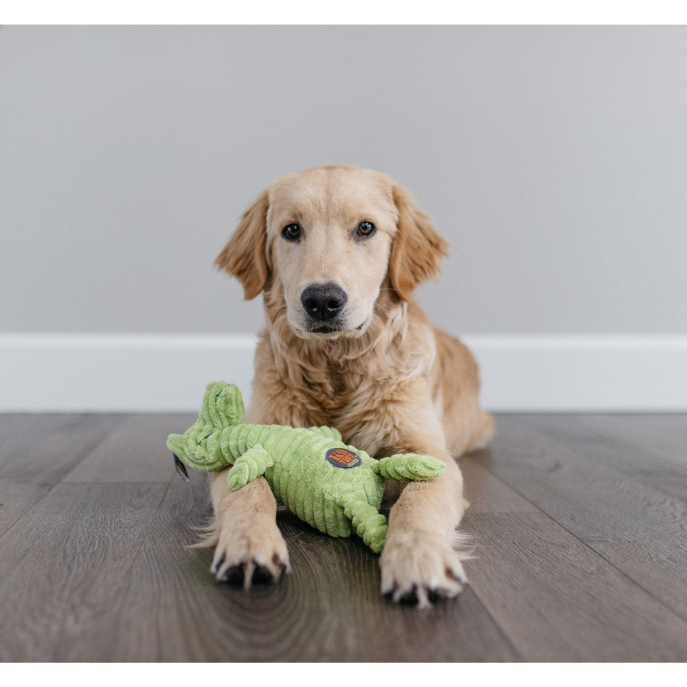 Charming Pet Squeakin' Squiggles Gator Dog Toy, Green, One-Size Animals & Pet Supplies > Pet Supplies > Dog Supplies > Dog Toys Outward Hound Holdings   