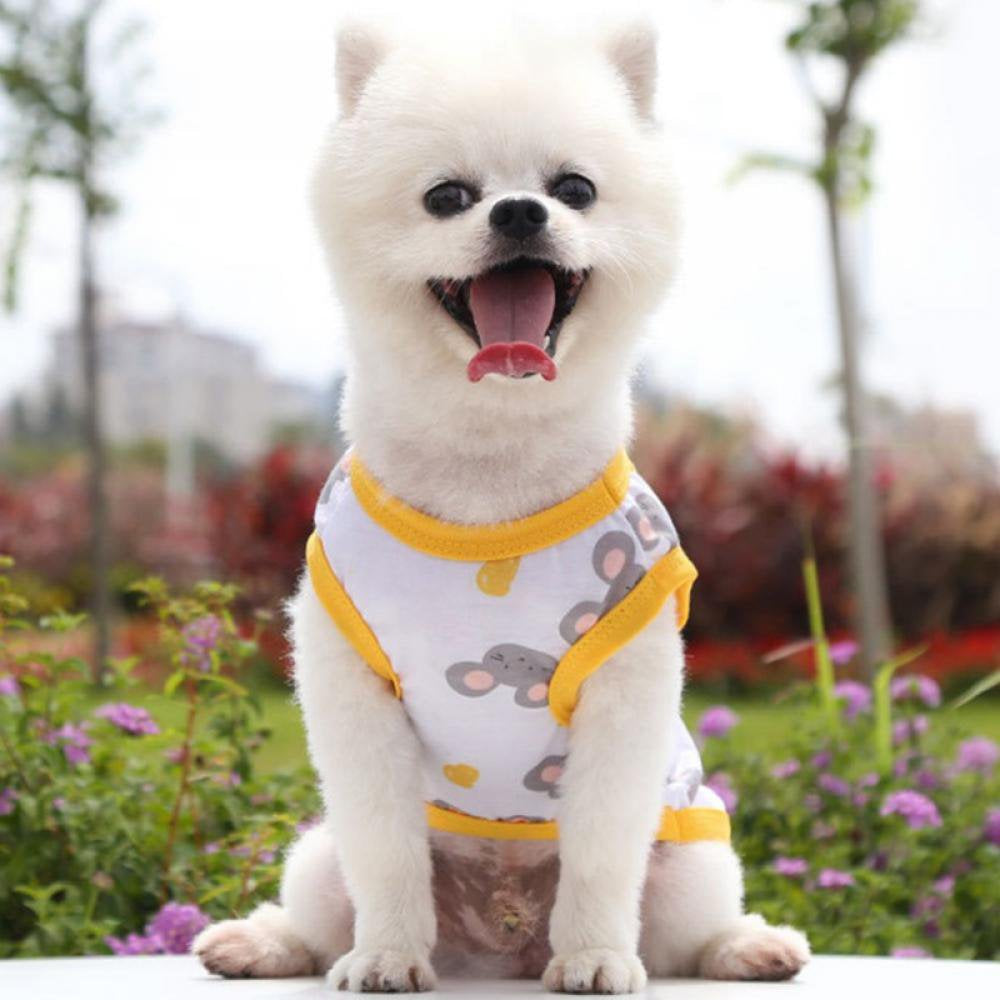 Dog Clothes,Printing Vest,Cotton Pet Costume Clothes Comfortable Puppy Tee Shirts Sweatshirt Breathable Dog Vest Pet Apparel for Small Medium Dogs Cats,Colorful Pattern Animals & Pet Supplies > Pet Supplies > Cat Supplies > Cat Apparel Jongmart   