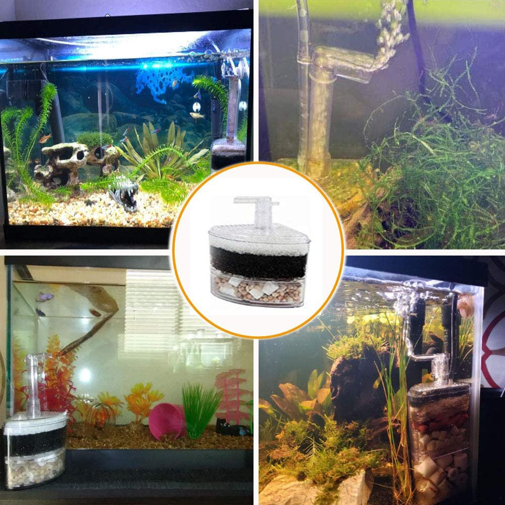 Aquarium Bio Corner Filter Air Pump Driven for Fry Shrimp Small Fish Tank up to 20 Gallon, 1-Pack Animals & Pet Supplies > Pet Supplies > Fish Supplies > Aquarium Filters Aquapapa   