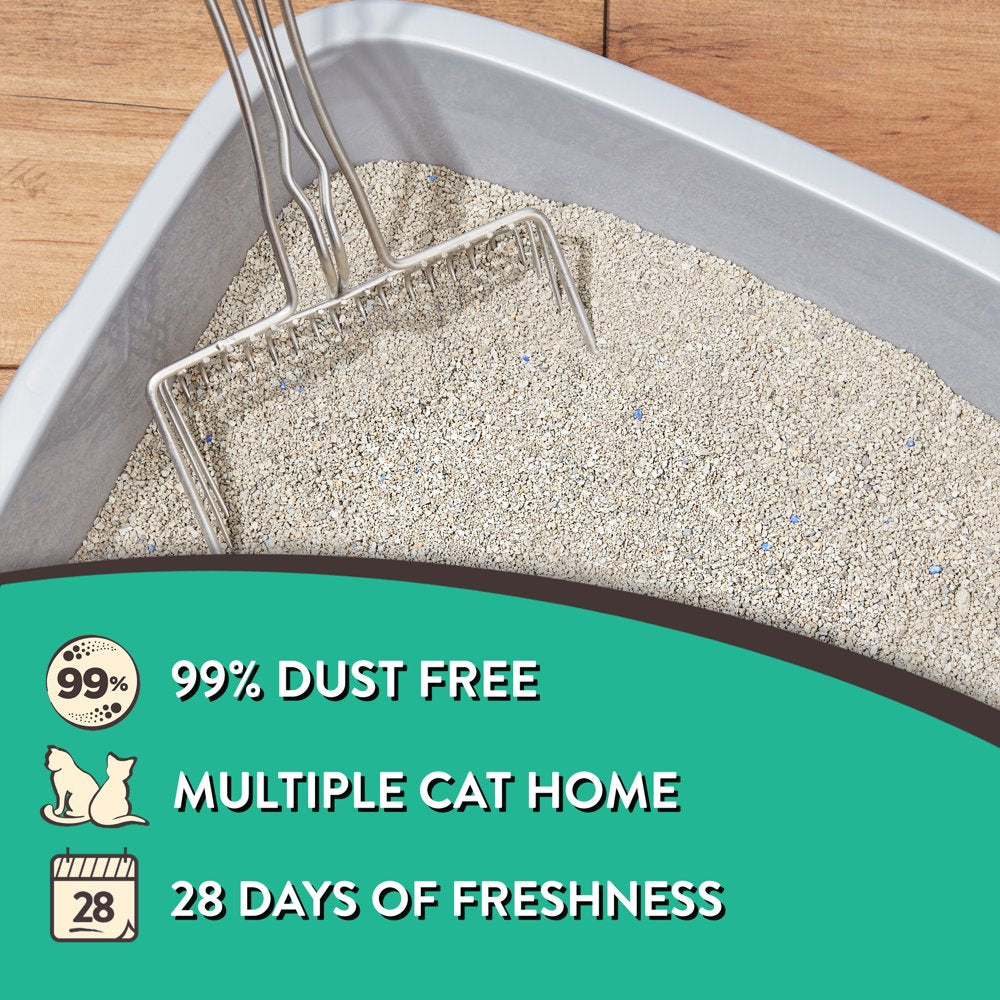 Special Kitty Odor Control Tight Clumping Cat Litter, Fresh Scent, 20 Lb Animals & Pet Supplies > Pet Supplies > Cat Supplies > Cat Litter Wal-Mart Stores, Inc.   