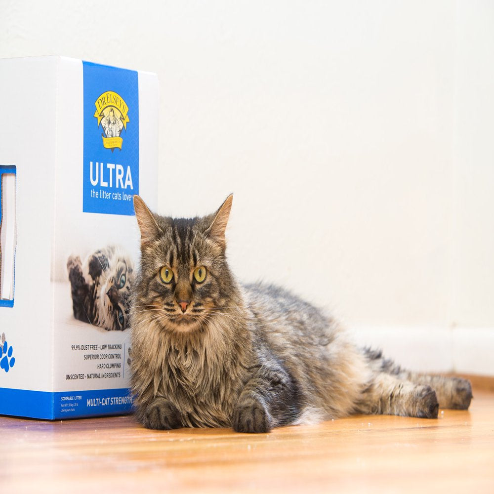 Dr. Elsey'S Ultra Unscented Clumping Clay Cat Litter, 18 Lb Bag Animals & Pet Supplies > Pet Supplies > Cat Supplies > Cat Litter Precious Cat   