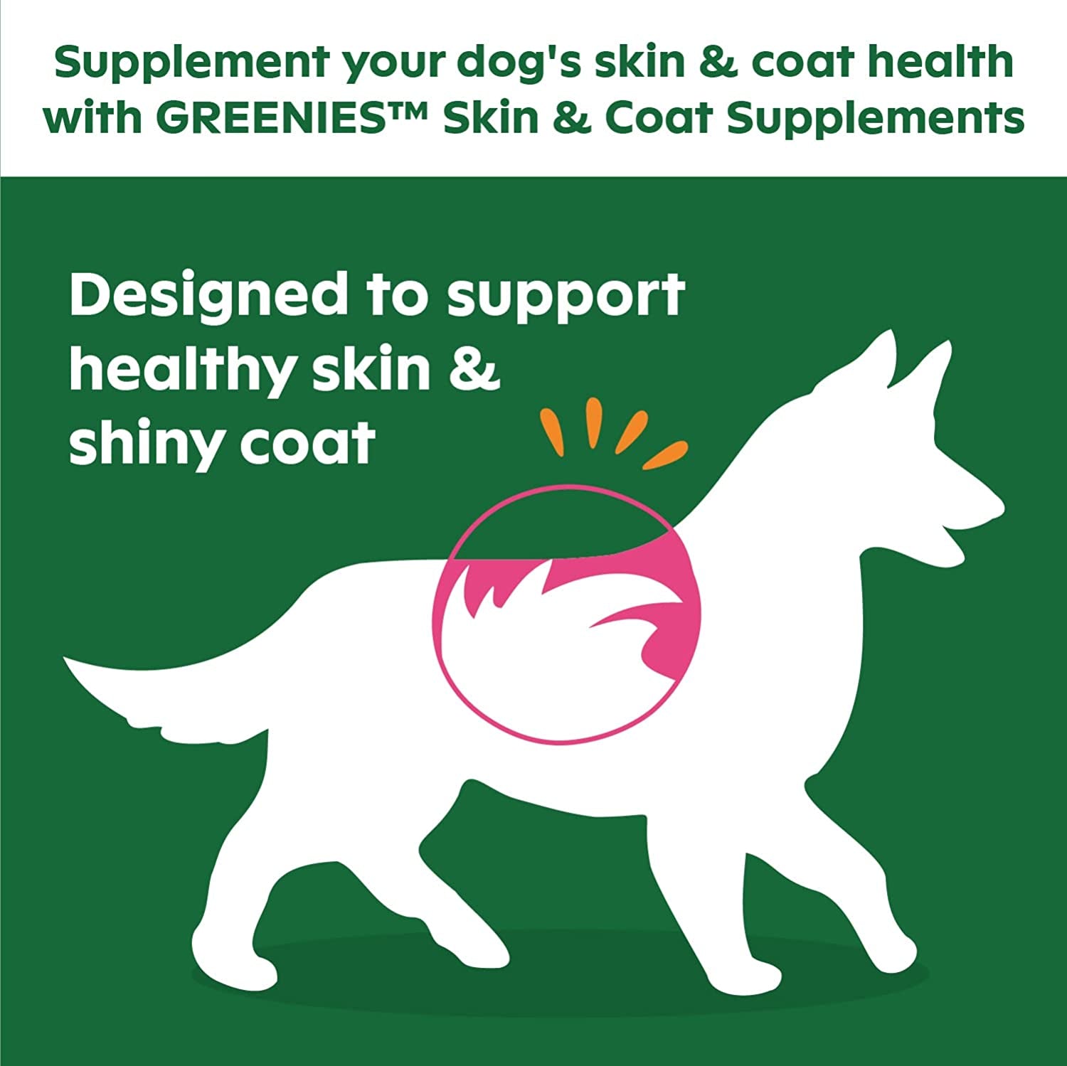 GREENIES Skin & Coat Food Supplements with Omega 3 Fatty Acids, 40-Count Chicken- Flavor Soft Chews for Adult Dogs Animals & Pet Supplies > Pet Supplies > Dog Supplies > Dog Apparel Mars Petcare   