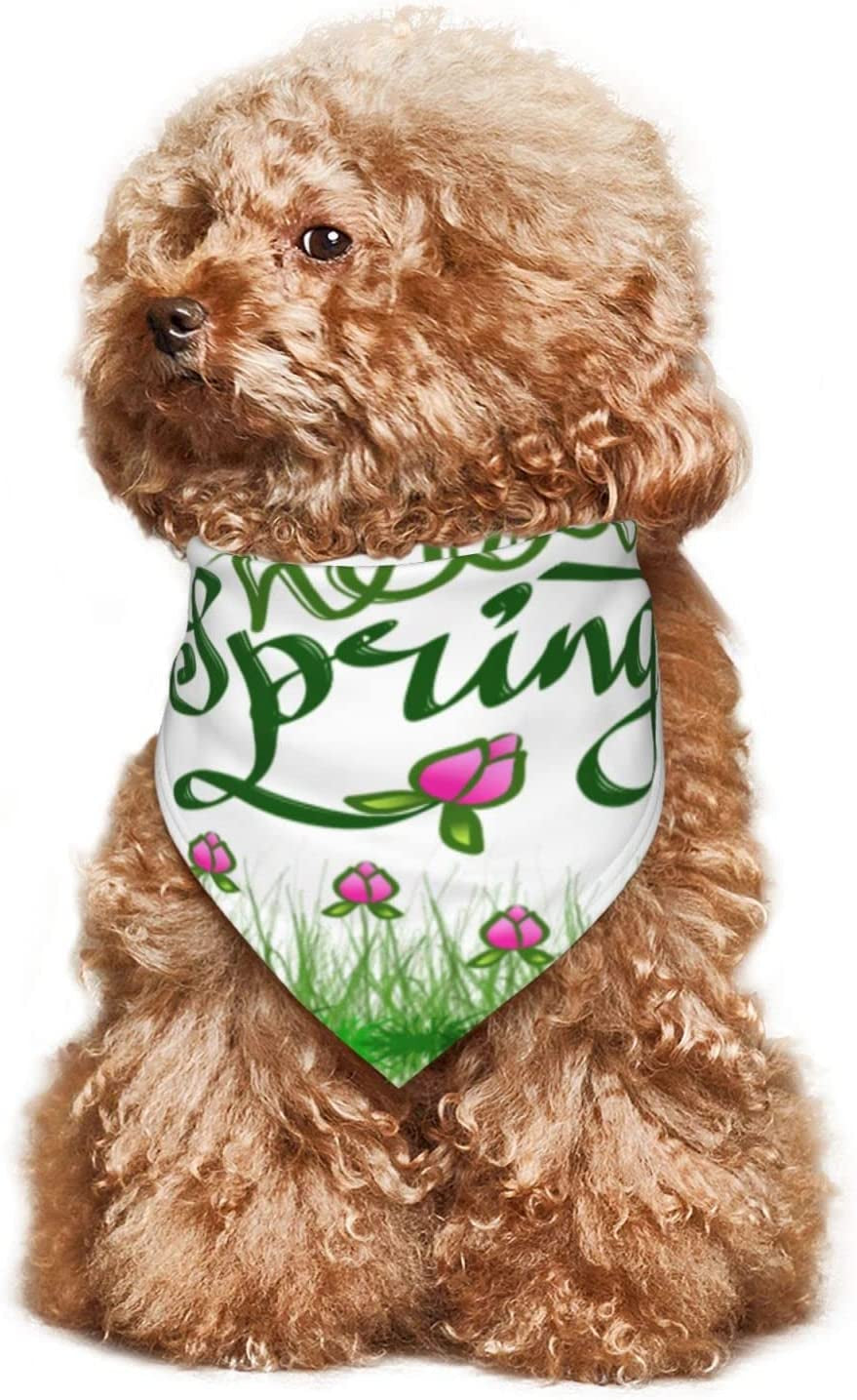 Hand Lettering Hello Spring Pet Dog and Cat Decorative Triangle Scarf,Dog Bandana,Breathable and Stain Resistant. Animals & Pet Supplies > Pet Supplies > Dog Supplies > Dog Apparel ZALTAS   