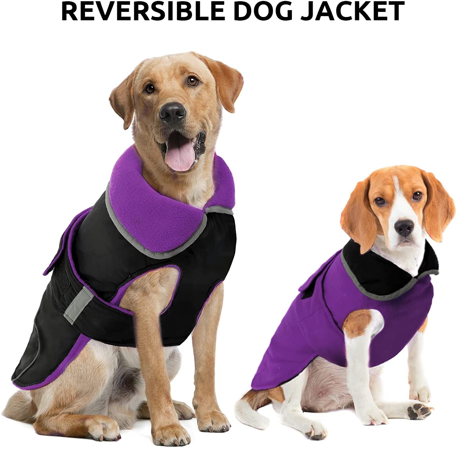 LETSQK Dog Coat, Waterproof and Windproof Dog Jacket, Reflective Safety Dog Vest, Thick Padded Warm Comfortable for Small, Medium & Large Dogs Indoor and Outdoor Use, Purplr, 2XL Animals & Pet Supplies > Pet Supplies > Dog Supplies > Dog Apparel LETSQK   