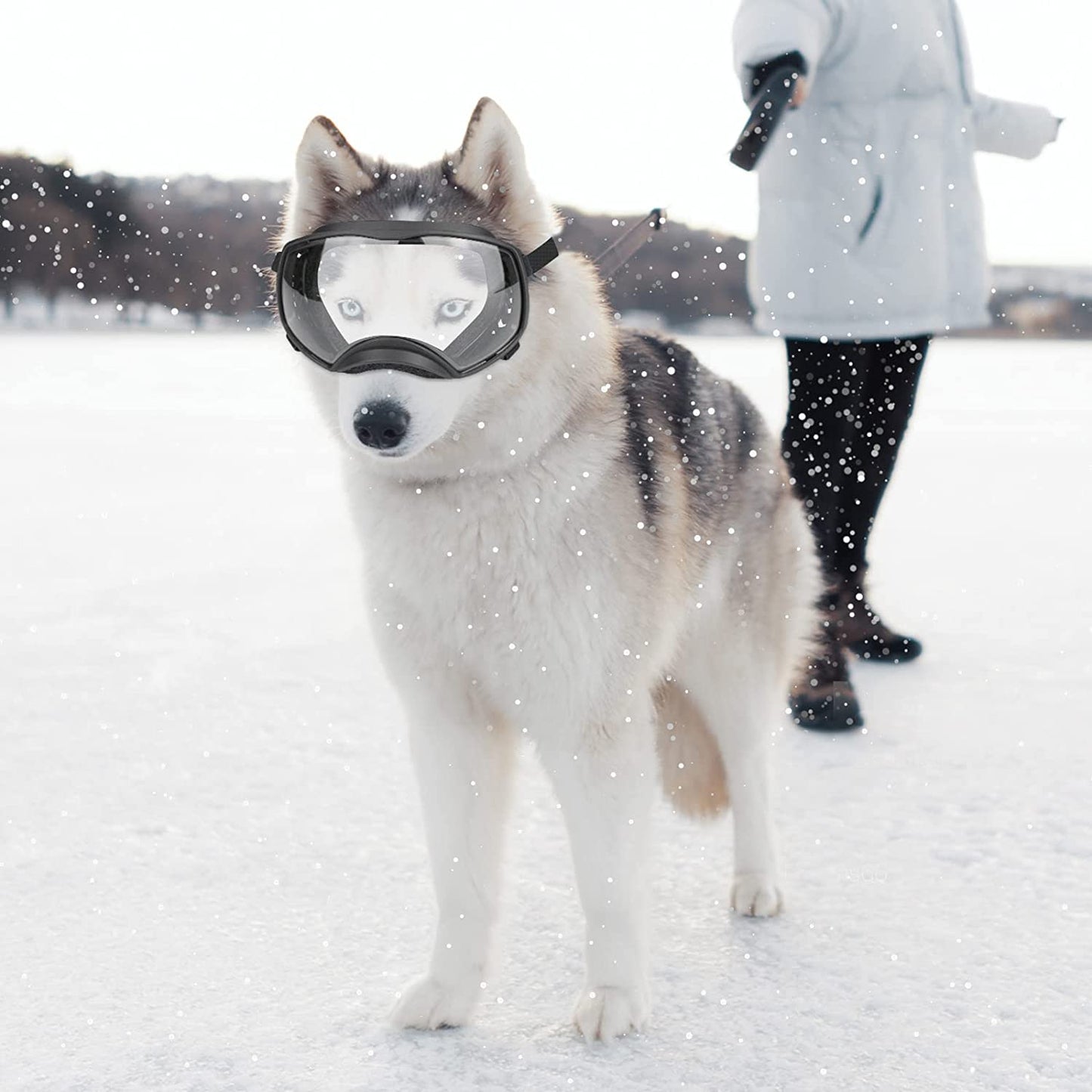 NAMSAN Dog Goggles Clear Lens for Medium-Large Breed UV Protection Dog Sunglasses Anti-Fog Windproof Transparent Lens for Outdoor Dogs Eye Safety, Black Animals & Pet Supplies > Pet Supplies > Dog Supplies > Dog Apparel Namsan   