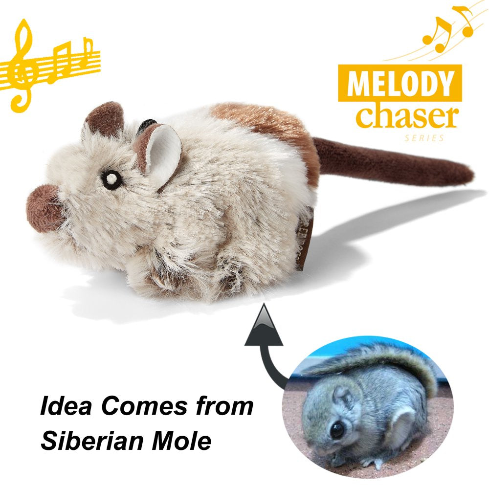 Vealind Three Dogs & a Cat Melody Chaser Interactive Cat Toy (Grey Bird & Grey Mouse) Animals & Pet Supplies > Pet Supplies > Cat Supplies > Cat Toys Vealind   