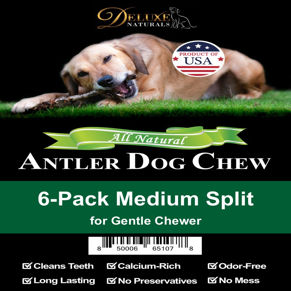 Deluxe Naturals Elk Antler Dog Chew 6-Pack, Medium Split Antlers Animals & Pet Supplies > Pet Supplies > Dog Supplies > Dog Toys Deluxe Naturals   