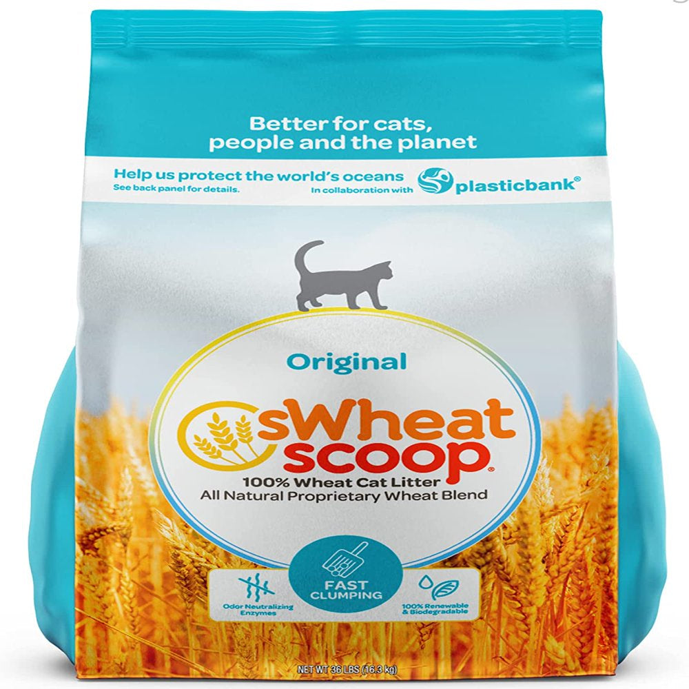 Swheat Scoop Wheat Cat Litter, Original Fast Clumping, 36 Pound Bag Animals & Pet Supplies > Pet Supplies > Cat Supplies > Cat Litter sWheat Scoop   