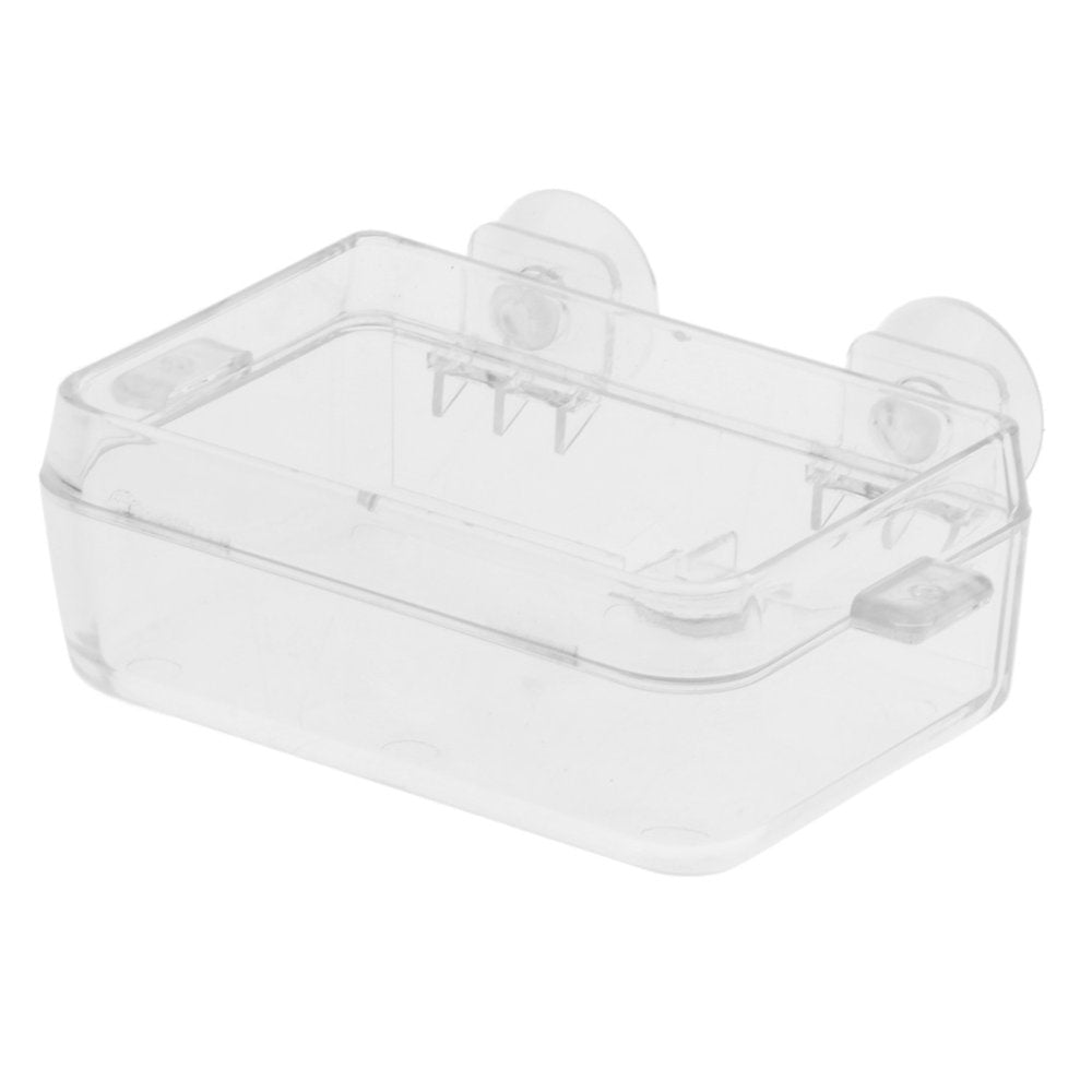 Transparent Reptile Feeding Dish Bowl for Reptiles & Amphibians Animals & Pet Supplies > Pet Supplies > Reptile & Amphibian Supplies > Reptile & Amphibian Food Gazechimp   