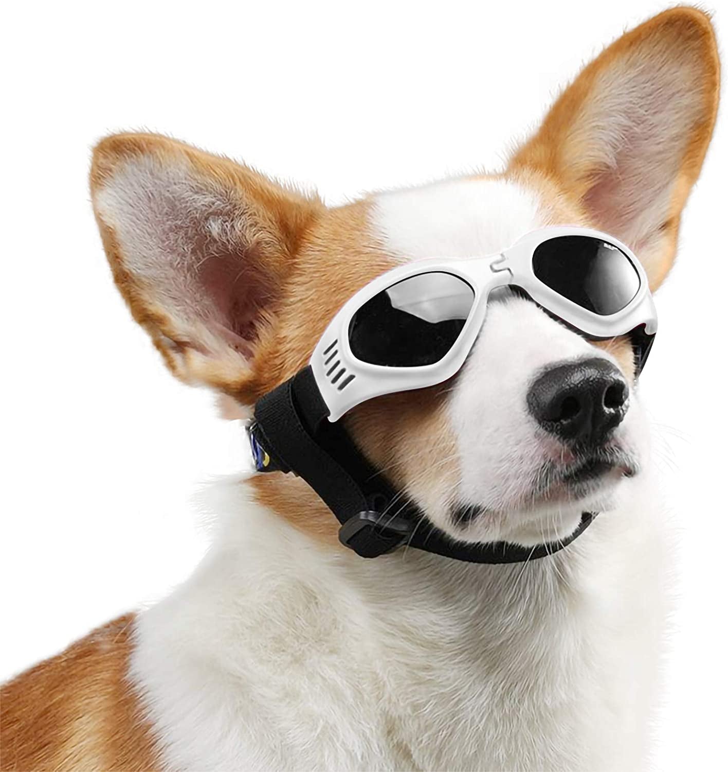 PEDOMUS Dog Goggles Small Dog Sunglasses Adjustable Strap for UV Sunglasses Waterproof Protection for Dogs (Black) Animals & Pet Supplies > Pet Supplies > Dog Supplies > Dog Apparel PEDOMUS WHITE  