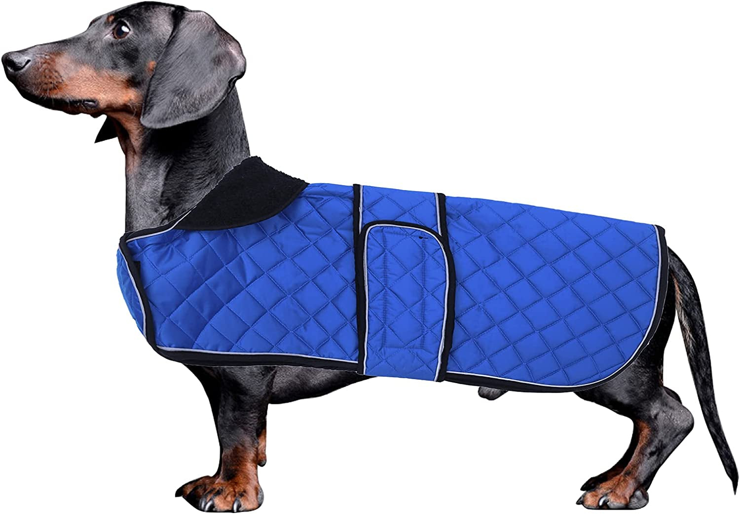 Morezi Dachshund Coats, Dachshund Coat, Coat for Dachshund, Dog Winter Coat with Padded Fleece Lining, Outdoor Dog Apparel with Adjustable Bands - Navy - L Animals & Pet Supplies > Pet Supplies > Dog Supplies > Dog Apparel Morezi Navy X-Small(Back: 12"-13"in) 