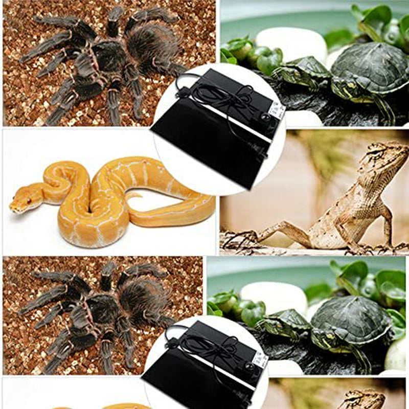 Foeses Reptile Warmer Mat under Tank Heater with Temperature Controller Animals & Pet Supplies > Pet Supplies > Reptile & Amphibian Supplies > Reptile & Amphibian Substrates Foeses   