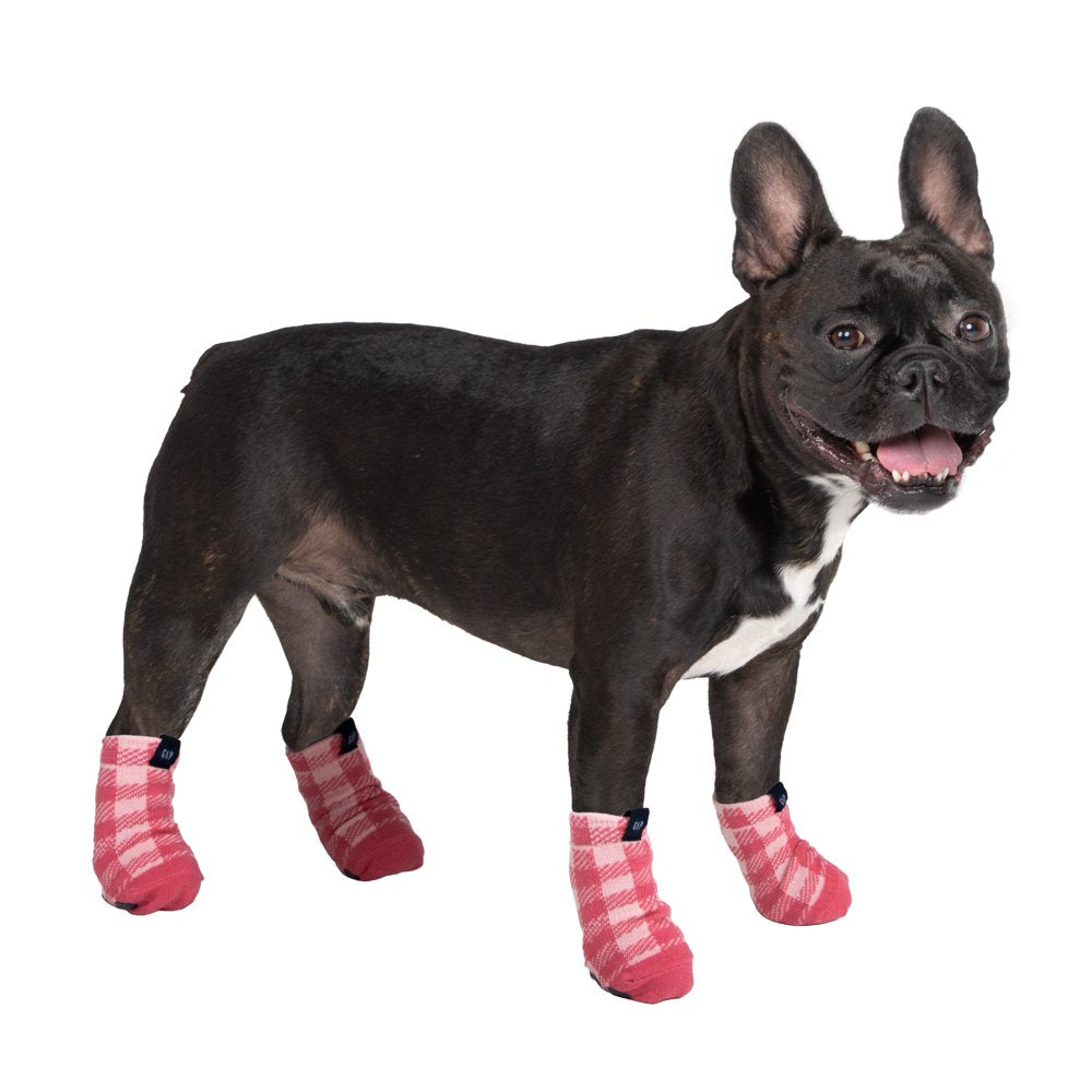 Gap Pet, Dog Clothes, Plaid Paw Logo Dog or Cat Socks, Pink Animals & Pet Supplies > Pet Supplies > Dog Supplies > Dog Apparel Mission Pets, Inc M/L  