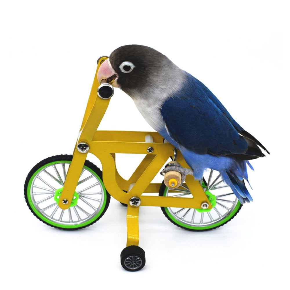 Ibaste Parrot Bicycle Toy Bird Training Intellectual Toys Supplies Animals & Pet Supplies > Pet Supplies > Bird Supplies > Bird Toys ibaste   