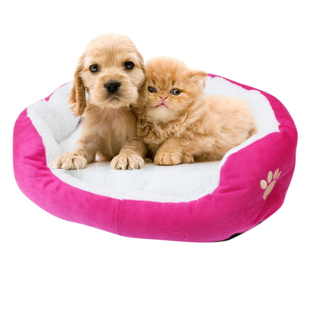 Pet Bed, Self-Warming Indoor Puppy Cushion Doghouse Soft Fleece Pet Dog Cat Bed Indoor Pillow Cuddler for Small Dogs and Cats (19.68*15.75In) Animals & Pet Supplies > Pet Supplies > Cat Supplies > Cat Beds Oxodoi   