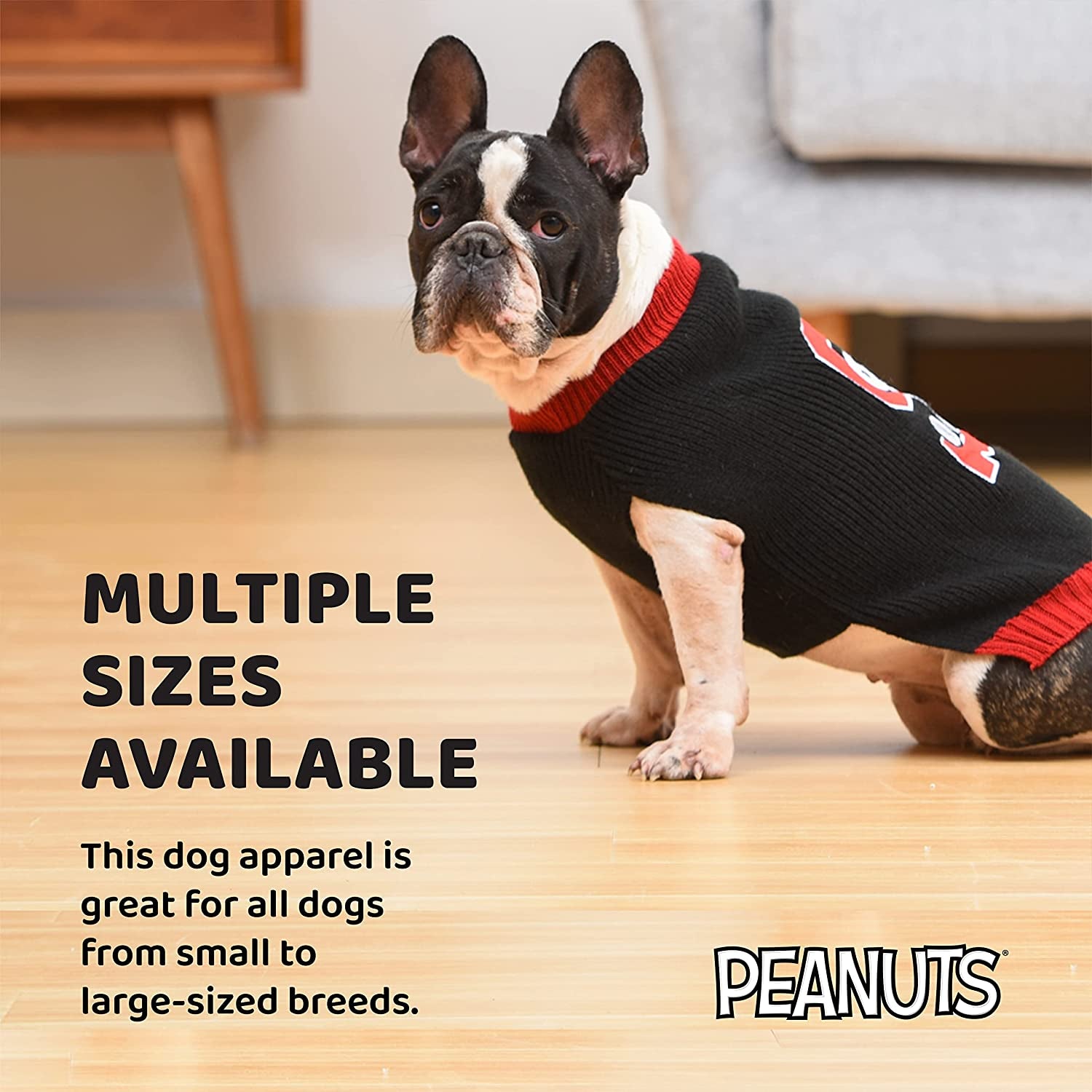 Peanuts for Pets Comics Snoopy Collegiate Dog Sweater, Small | Soft and Comfortable Dog Apparel Dog Clothing Dog Shirt | Snoopy Small Dog Sweater, Small Dog Shirt for Small Dogs, Black, (FF20072) Animals & Pet Supplies > Pet Supplies > Dog Supplies > Dog Apparel Fetch for Pets   