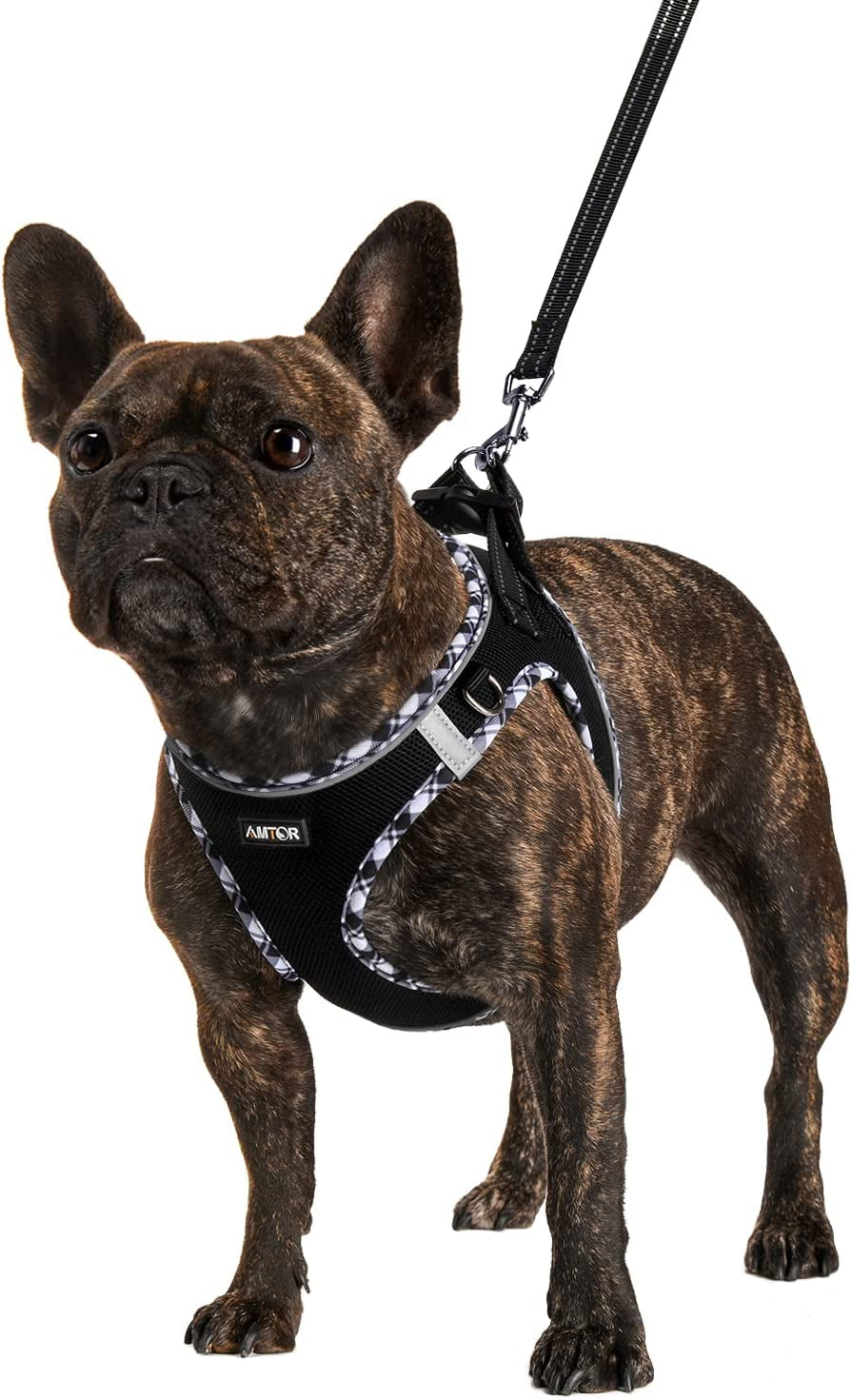 AMTOR Dog Harness with Leash Set,No Pull Adjustable Reflective Step-In Puppy Harness with Padded Vest for Extra-Small/Small Medium Large Dogs and Cats(Beige) Animals & Pet Supplies > Pet Supplies > Dog Supplies > Dog Apparel AMTOR BlackWhite Medium(Chest:16.0"-18.0") 