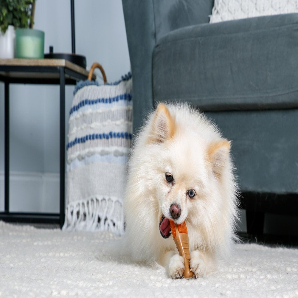 Hartz Chew ‘N Clean Drumstick Dog Chew Toy and Treat in One, Chicken Flavored Dog Toy for Moderate Chewers, Extra Small Animals & Pet Supplies > Pet Supplies > Dog Supplies > Dog Toys Hartz Mountain Corp.   