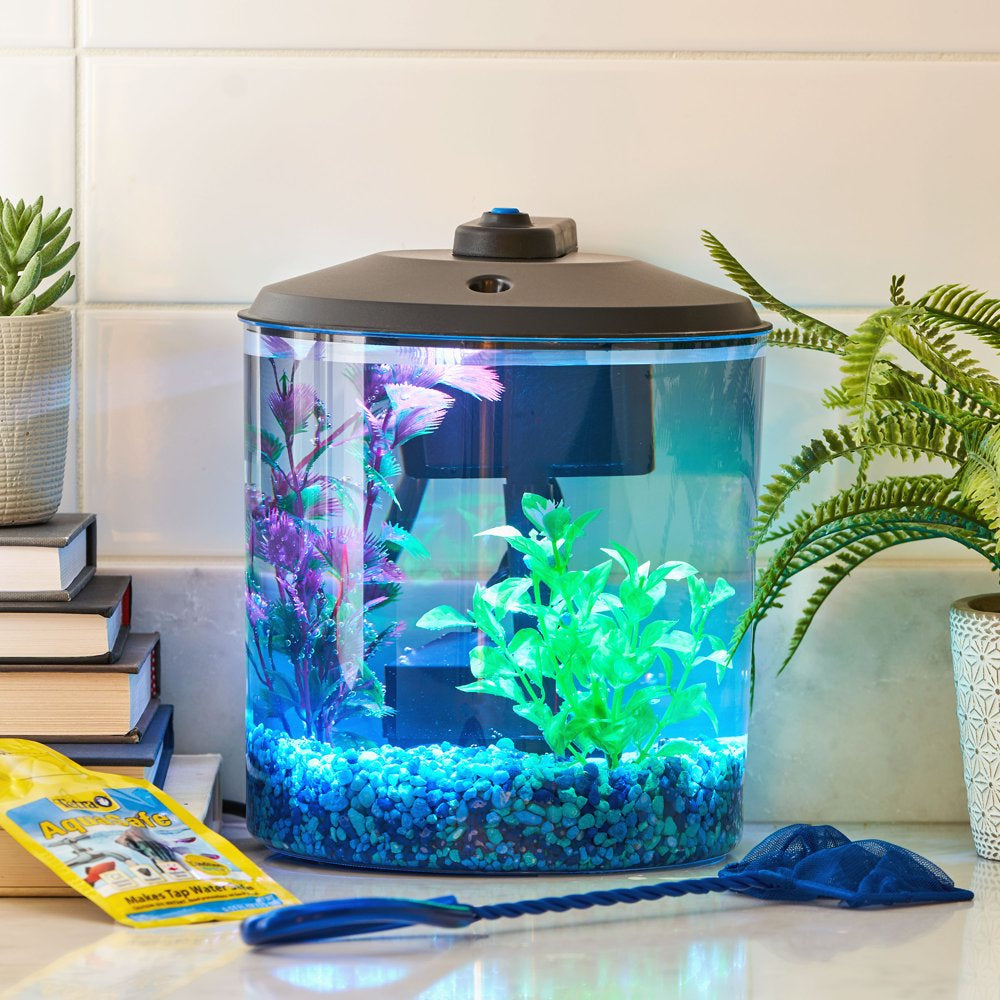 Aqua Culture 1.5-Gallon Aquarium Starter Kit Plastic, LED Lighting