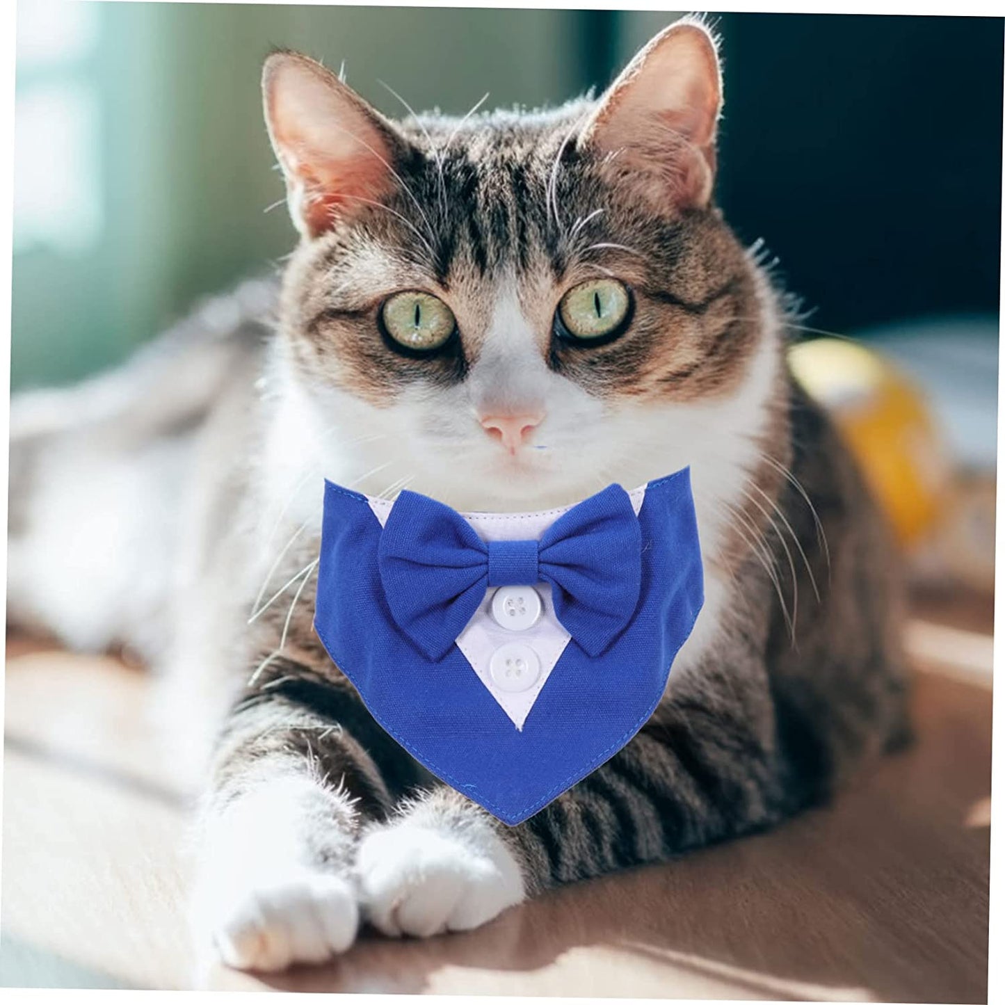 Balacoo 4Pcs Decor Neck Tuxedo Collar Pet Bib Blue Formal Costume Suit Accessory with Puppy Cat Neckerchief Cosplay Medium Neckwear Party Tie Towel Adjustable Bow Dog Saliva Large Xs Animals & Pet Supplies > Pet Supplies > Dog Supplies > Dog Apparel Balacoo   