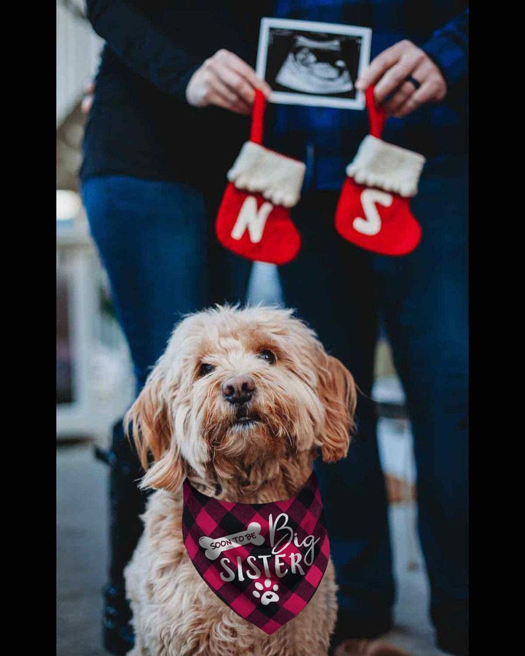 Big Sister Dog Bandana, Reversible Plaid Triangle Bibs Pet Scarf Animals & Pet Supplies > Pet Supplies > Dog Supplies > Dog Apparel Pawskido   