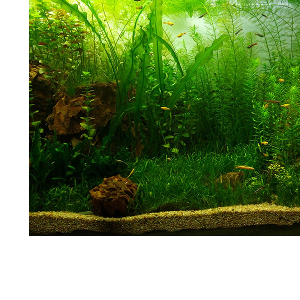 Aquarium Background Poster -Sided Sticker Plants 61X30Cm Animals & Pet Supplies > Pet Supplies > Fish Supplies > Aquarium Decor Gazechimp   