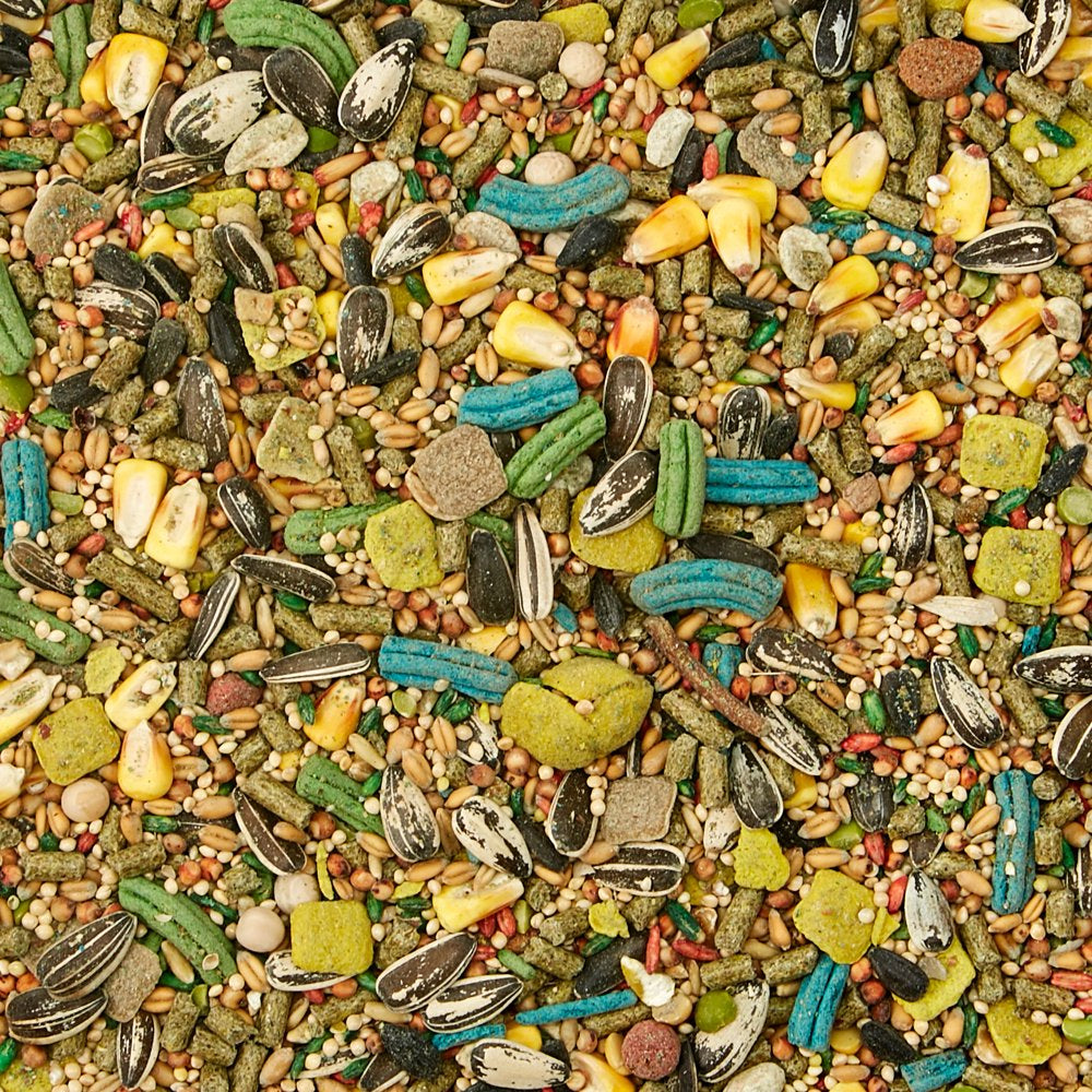 Kaytee Forti-Diet Pro Health Hamster and Gerbil Food 3Lb Animals & Pet Supplies > Pet Supplies > Small Animal Supplies > Small Animal Food Central Garden and Pet   